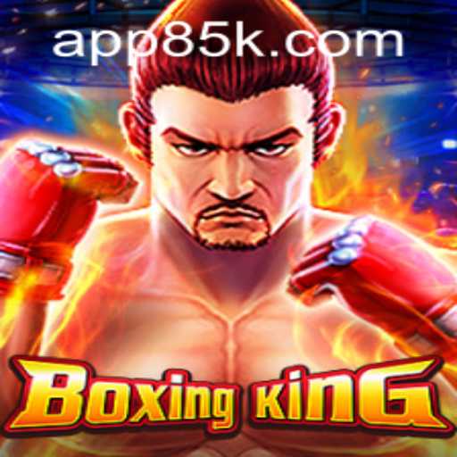 Discover the World of BoxingKing